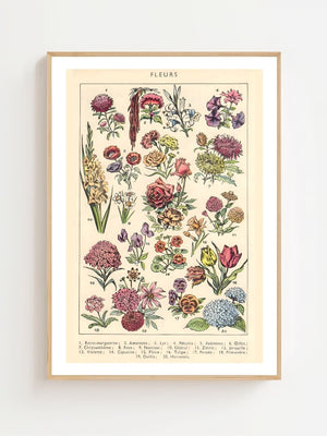 Vintage Flower Collection Plakat - 21 x 29.7 cm (A4) - Nellastore