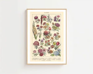 Vintage Flower Collection Plakat - 21 x 29.7 cm (A4) - Nellastore