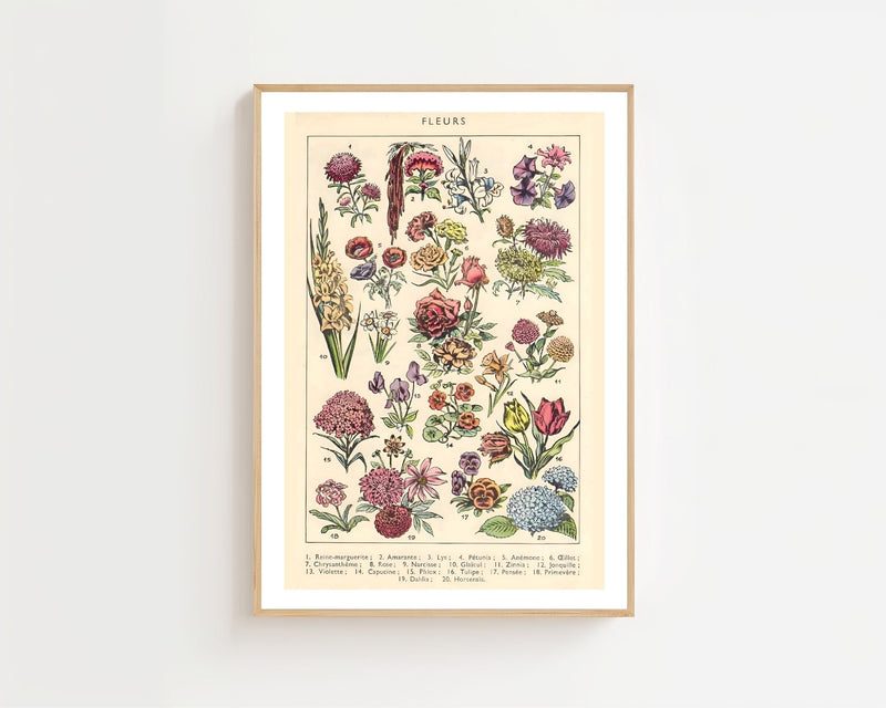 Vintage Flower Collection Plakat - 21 x 29.7 cm (A4) - Nellastore