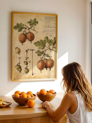 Vintage Gooseberry Study Plakat - 21 x 29.7 cm (A4) - Nellastore