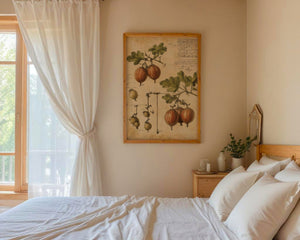 Vintage Gooseberry Study Plakat - 21 x 29.7 cm (A4) - Nellastore