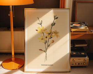 Vinter Jasmin Plakat - 21 x 29.7 cm (A4) - Nellastore