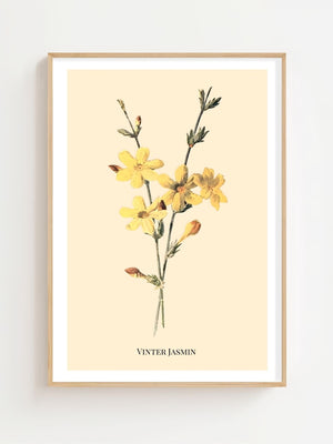 Vinter Jasmin Plakat - 21 x 29.7 cm (A4) - Nellastore