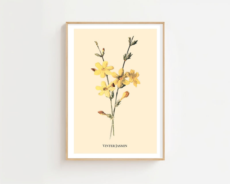 Vinter Jasmin Plakat - 21 x 29.7 cm (A4) - Nellastore