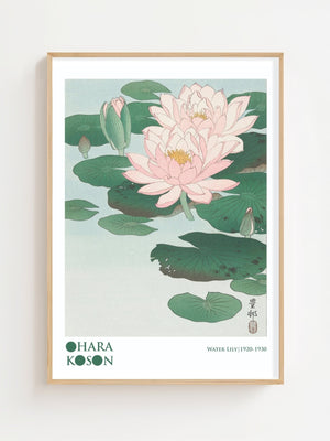 Water Lily Plakat - 21 x 29.7 cm (A4) - Nellastore