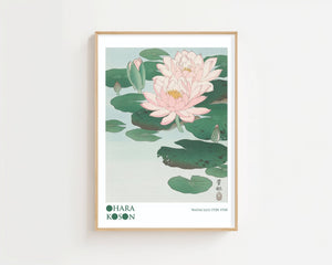 Water Lily Plakat - 21 x 29.7 cm (A4) - Nellastore