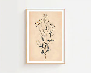 Wild Stem Study Plakat - 21 x 29.7 cm (A4) - Nellastore