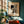 Window Watcher Plakat - 21 x 29.7 cm - Nellastore