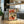 Wine Club Plakat - 21 x 29.7 cm - Nellastore
