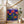 Yayoi Kusama - Vibrant Floral Dreamscape Plakat - 21 x 29.7 cm (A4) - Nellastore