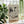 Yoga Zen Plakat - 21 x 29.7 cm - Nellastore